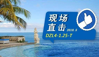 现场直击丨看生物质锅炉在巴厘岛怎样强操作，转头客非它不选