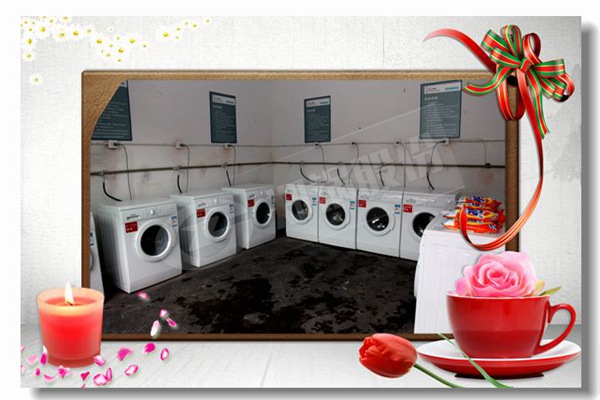 燃气锅炉低氮刷新的用度是几多？