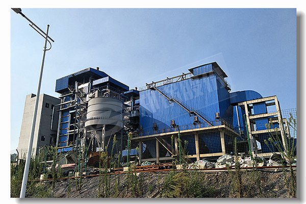 晋州专业生物质蒸汽锅炉供应商找哪家？