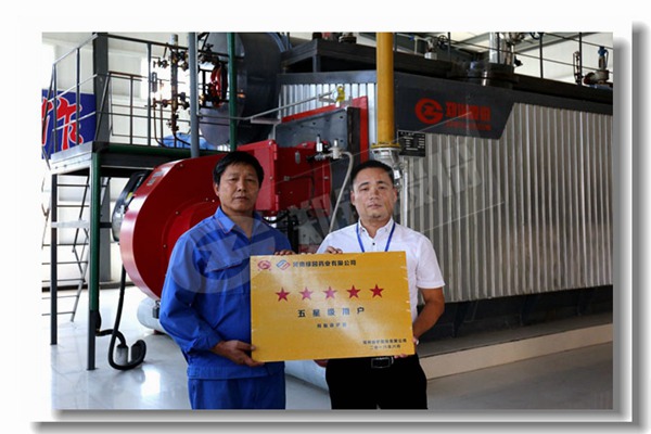 2吨生物质锅炉价钱是几多钱？