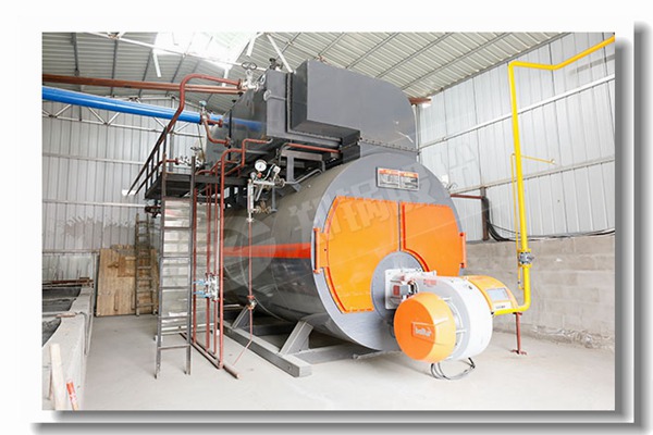 食物工业用燃气锅炉10吨