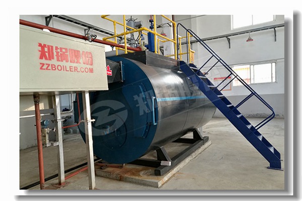 自然气原木燃料锅炉，用于食物饮料