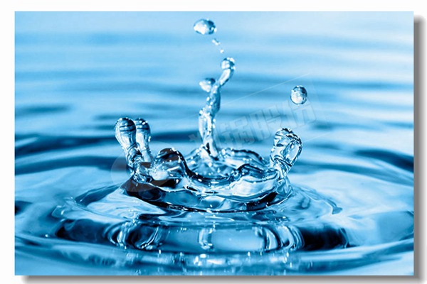 炉排炉同cfb锅炉较量有什么区别？