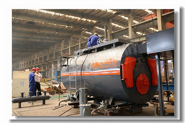 wns食物工业中的蒸汽锅炉