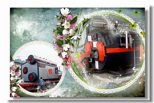 燃气蒸汽锅炉建议加热资助