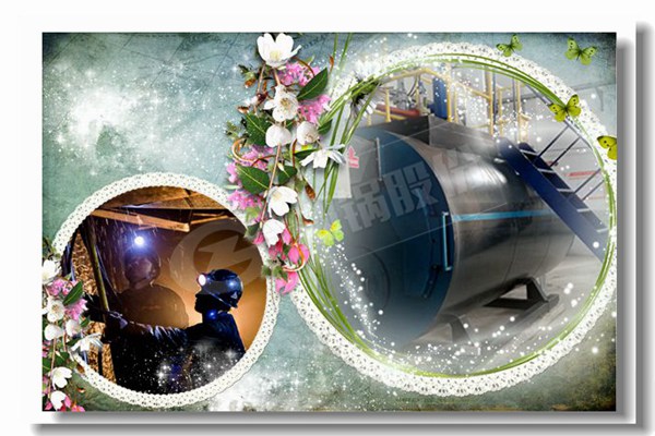 烧煤的锅炉6吨几多钱？