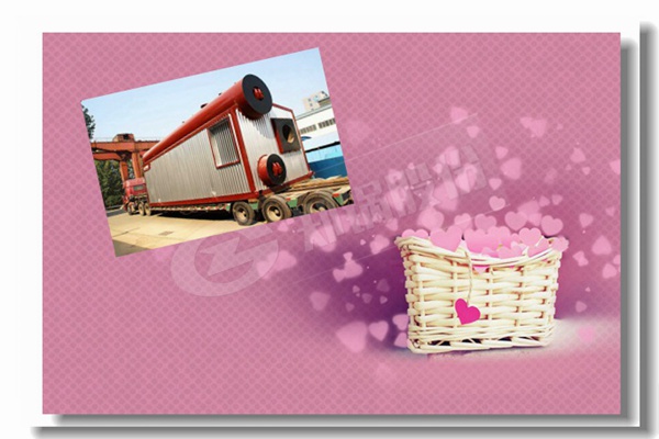 经济型每小时5010公斤的燃气蒸汽锅炉