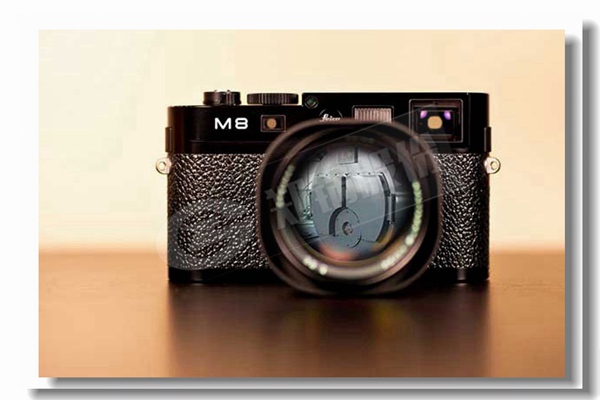 锅炉有哪些热损失？