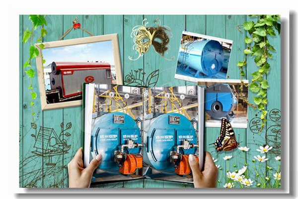 双燃料蒸汽锅炉，压力16kg