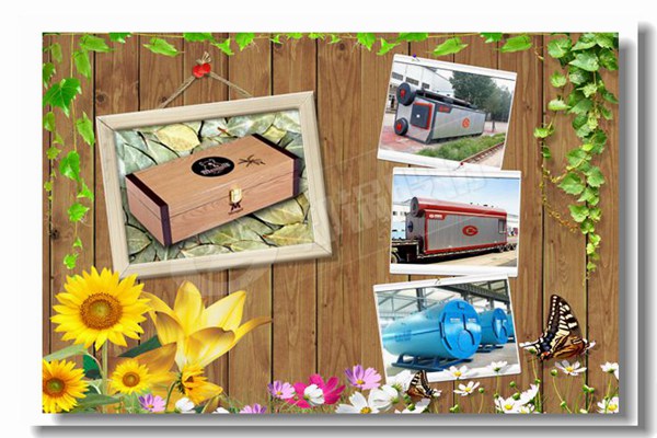 北京专业6吨燃气锅炉供应商哪家好？